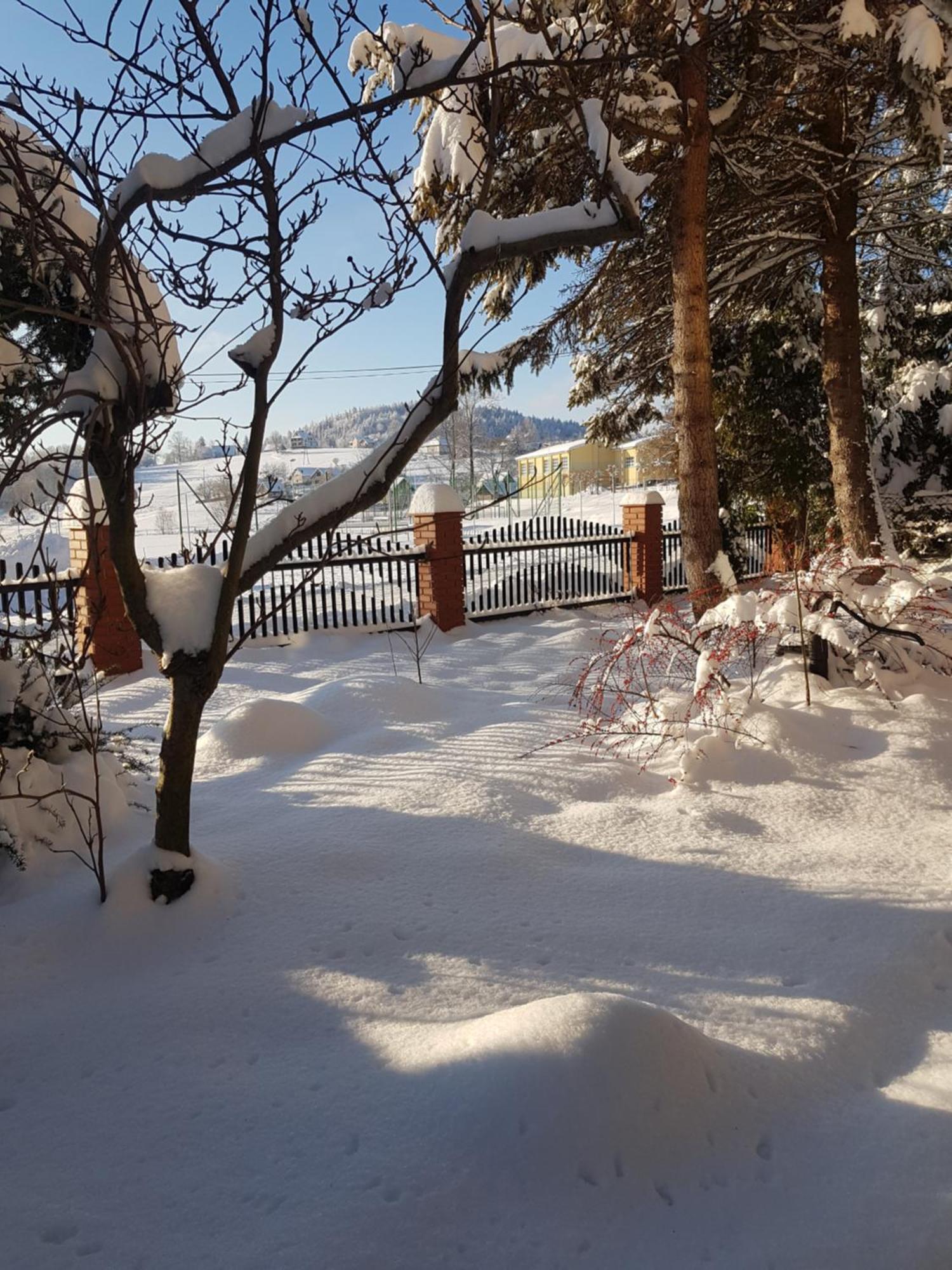 Mieszkanie W Gorach W Domu Prywatnym W Beskidzie Zywieckim 25Km Od Zywca Daire Koszarawa Dış mekan fotoğraf