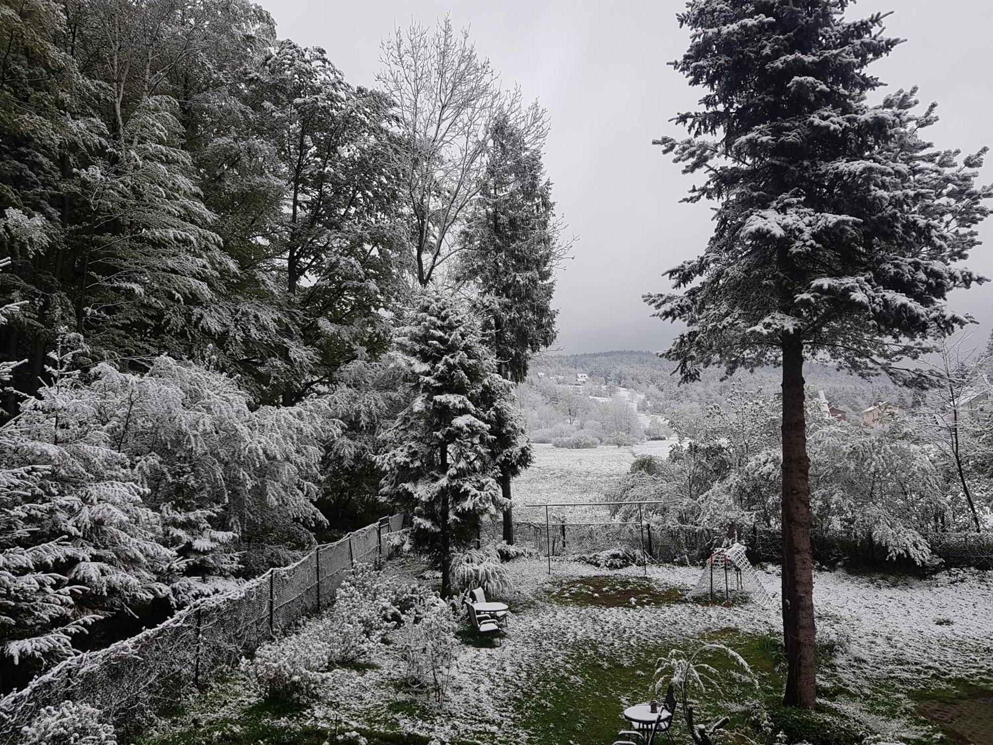 Mieszkanie W Gorach W Domu Prywatnym W Beskidzie Zywieckim 25Km Od Zywca Daire Koszarawa Dış mekan fotoğraf