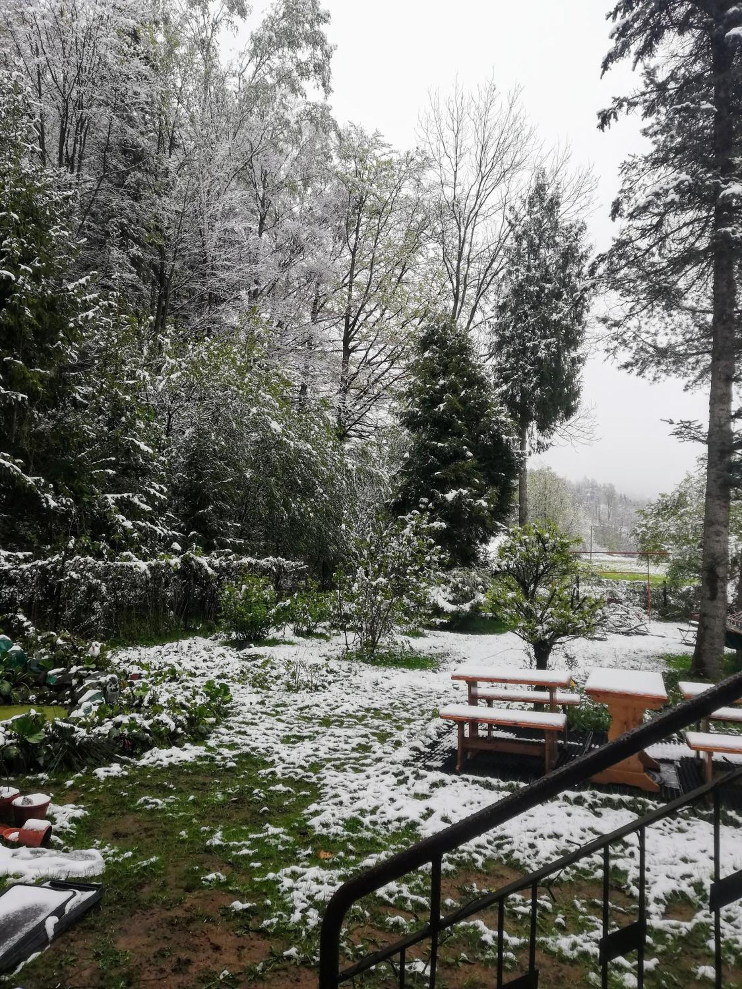 Mieszkanie W Gorach W Domu Prywatnym W Beskidzie Zywieckim 25Km Od Zywca Daire Koszarawa Dış mekan fotoğraf